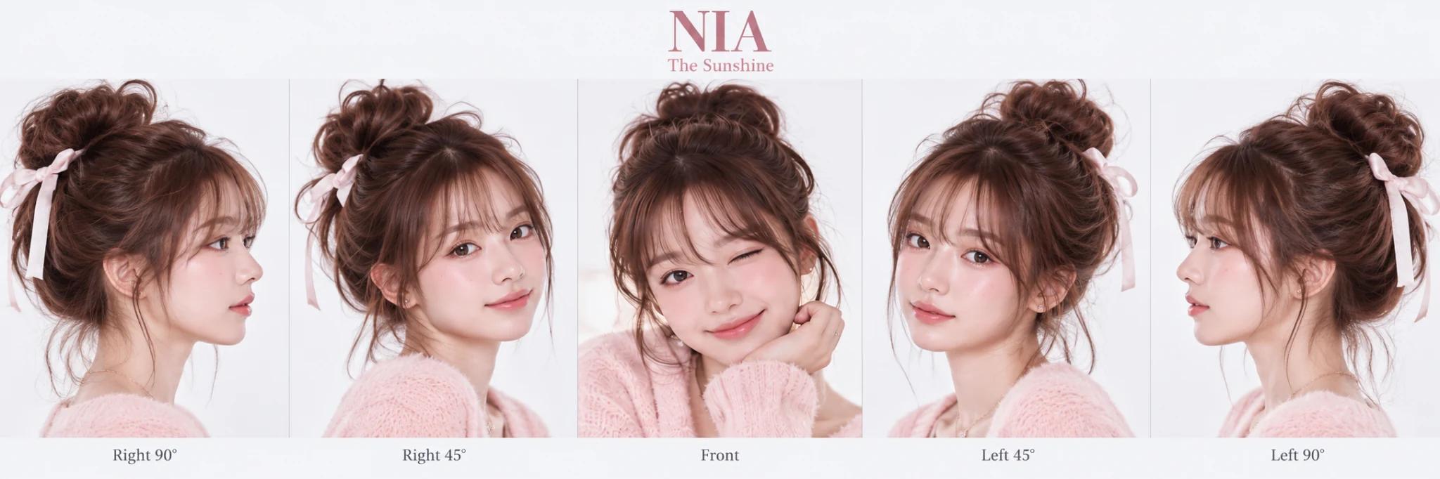 NIA concept 1