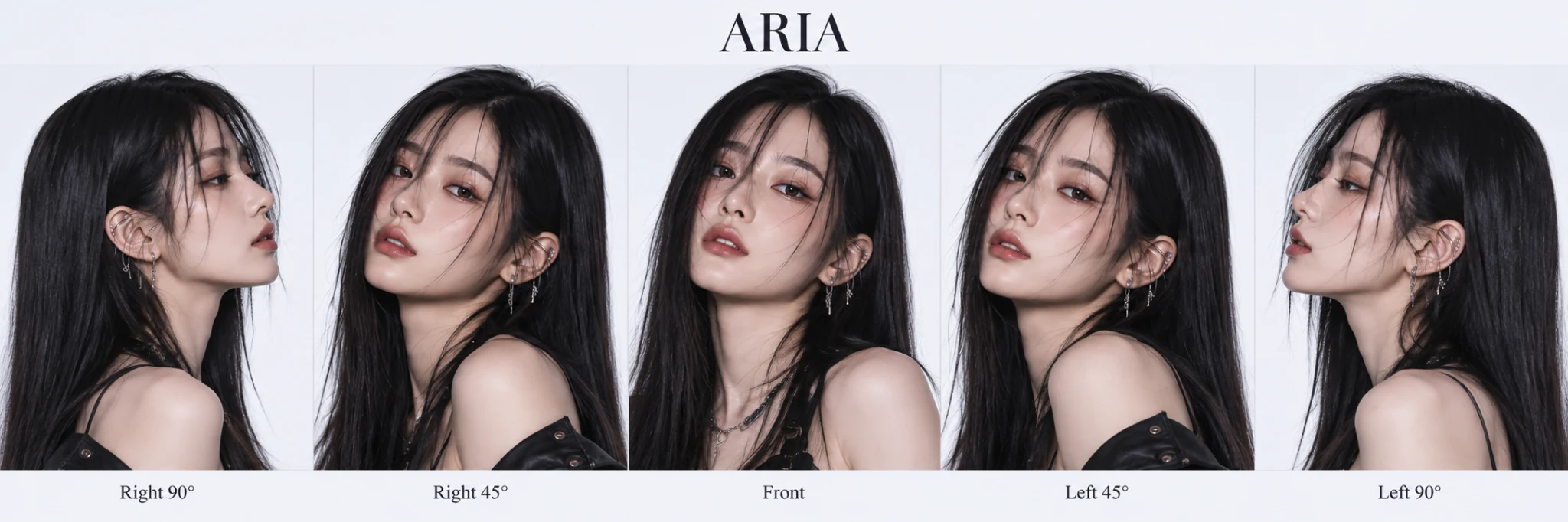 ARIA concept 1