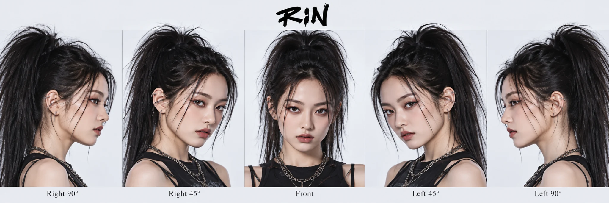 RIN concept 1